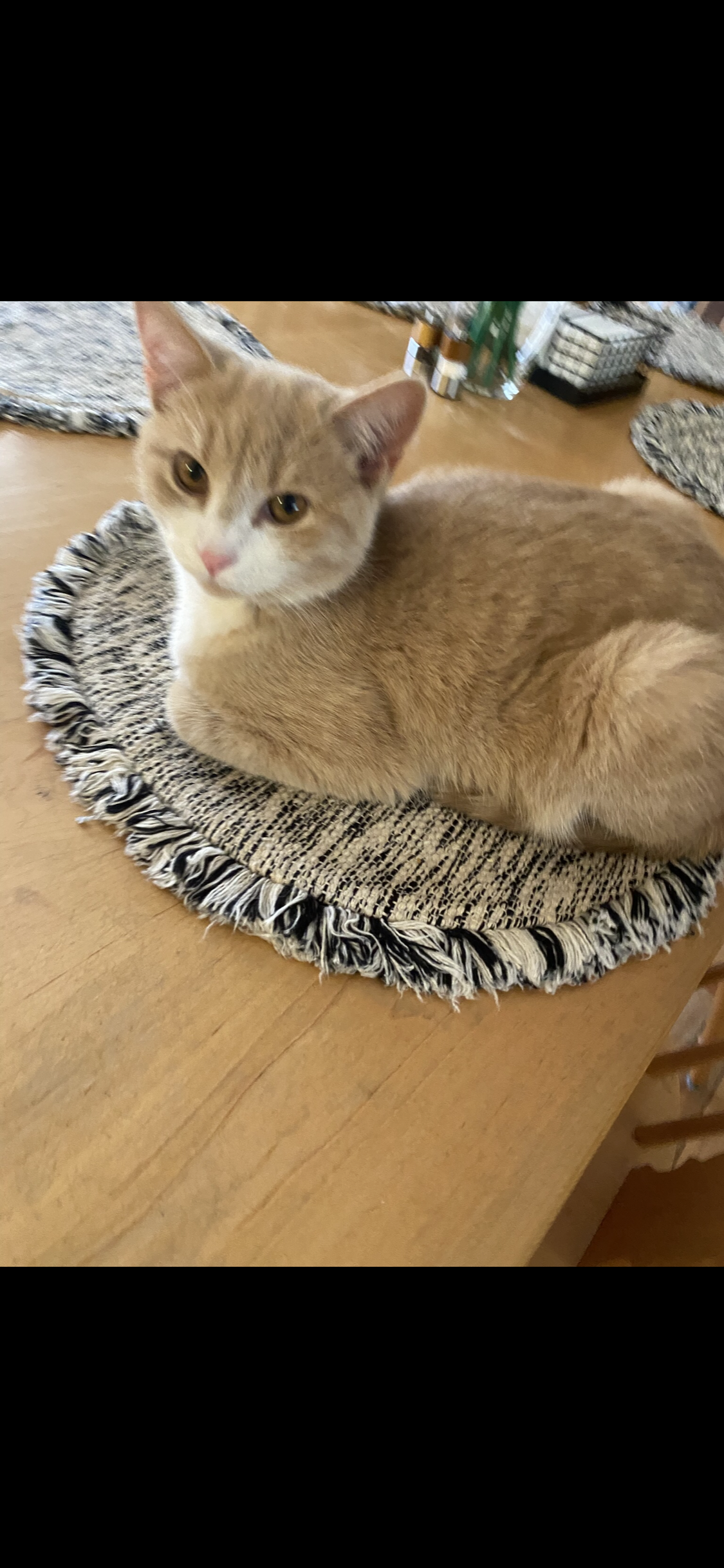 Mac